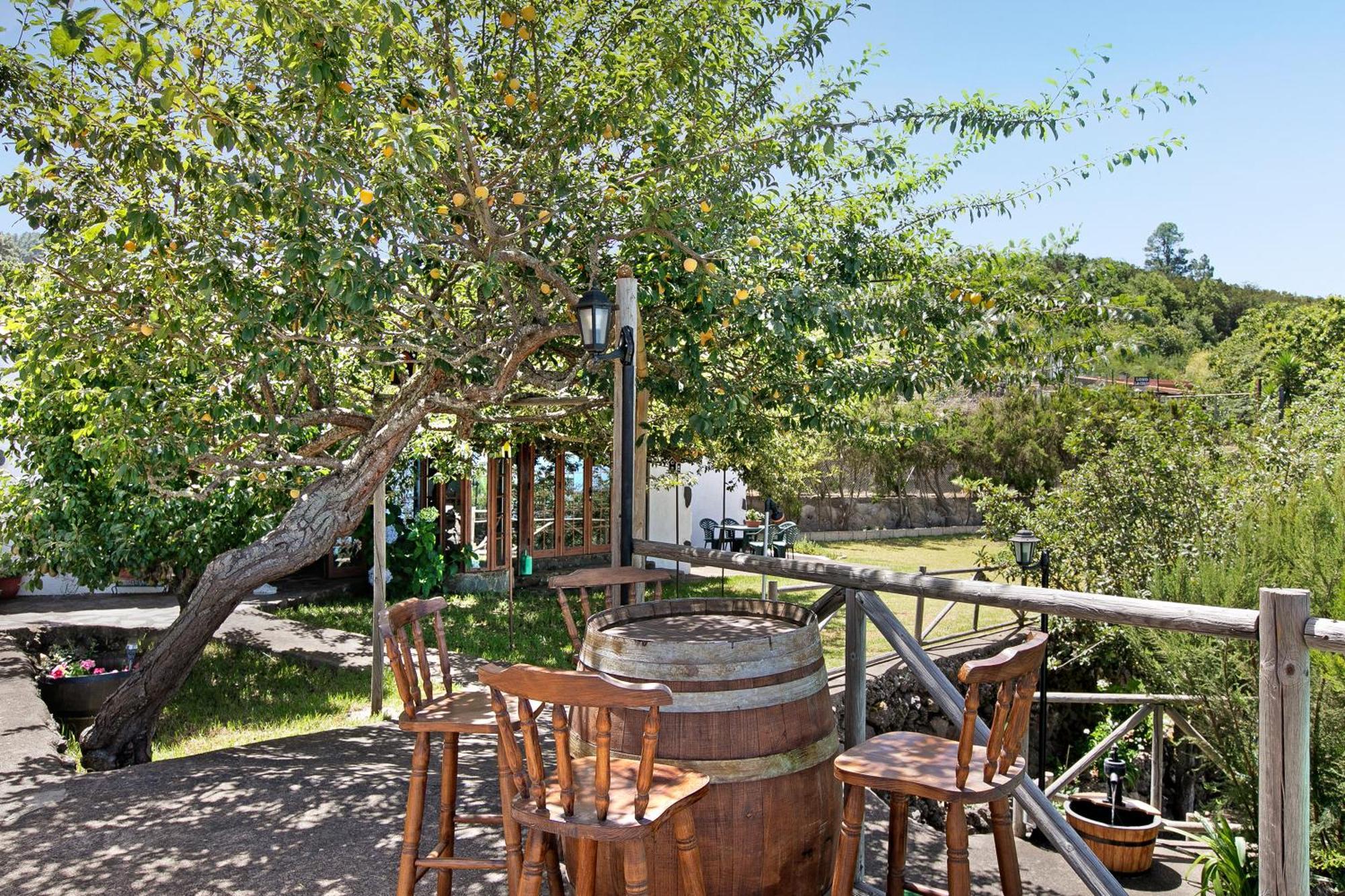 Finca Las Carmenes Icod De Los Vinos Luaran gambar